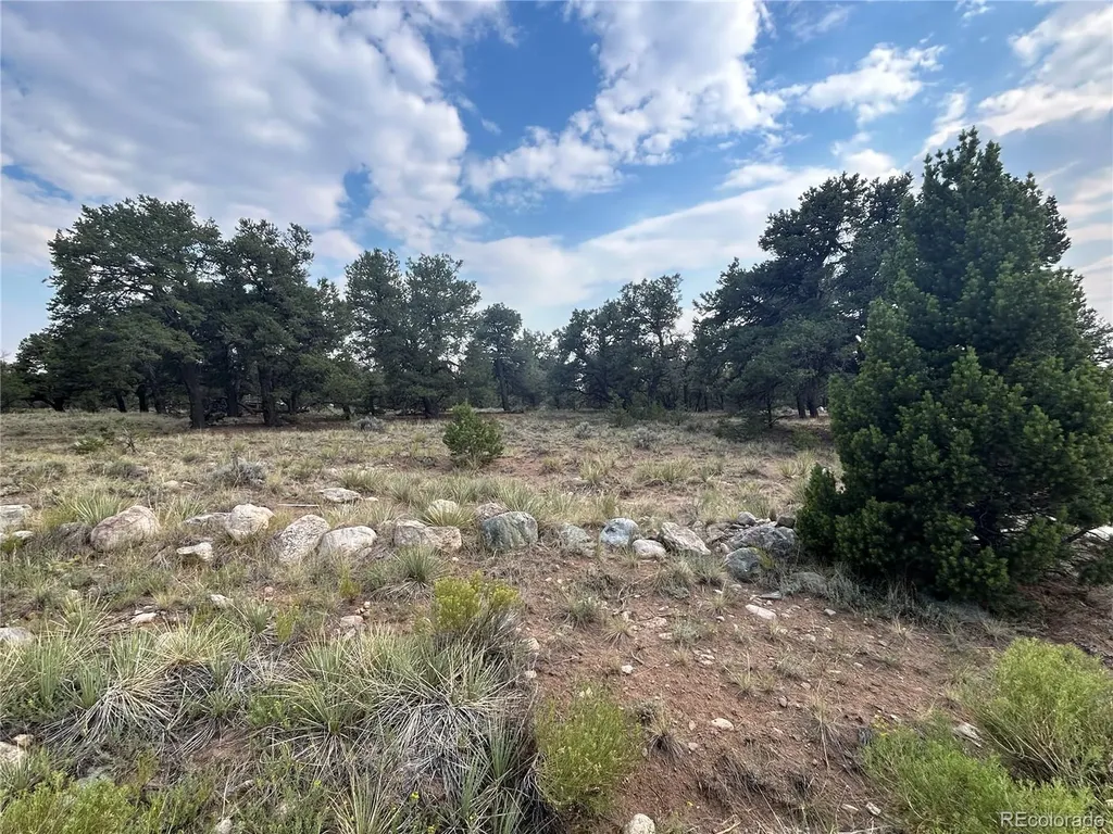 3530 Camino Del Rey Crestone CO 81131