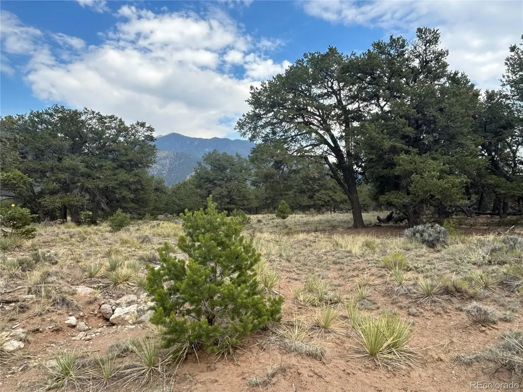 3530 Camino Del Rey Crestone CO 81131