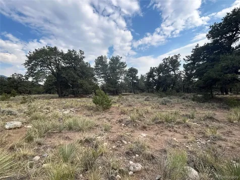 3530 Camino Del Rey Crestone CO 81131