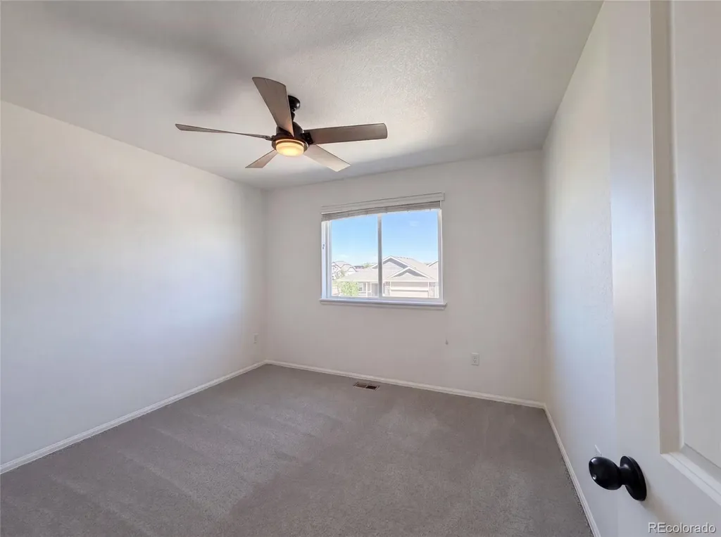 1726 Thrive Drive Windsor CO 80550