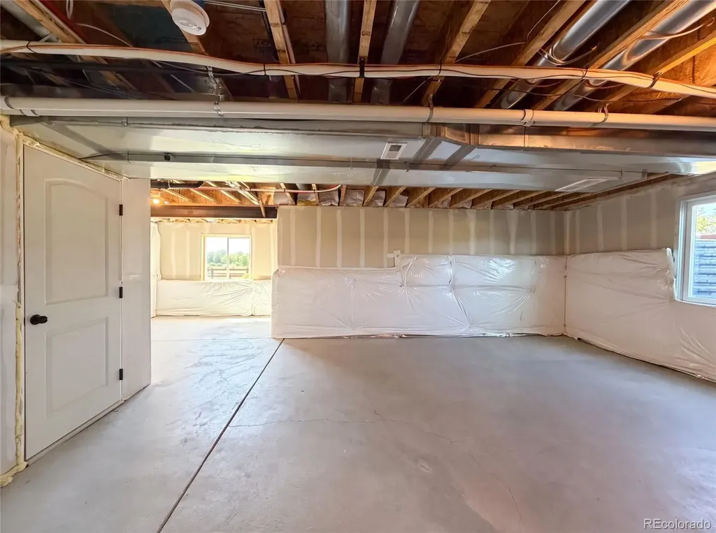 1726 Thrive Drive Windsor CO 80550