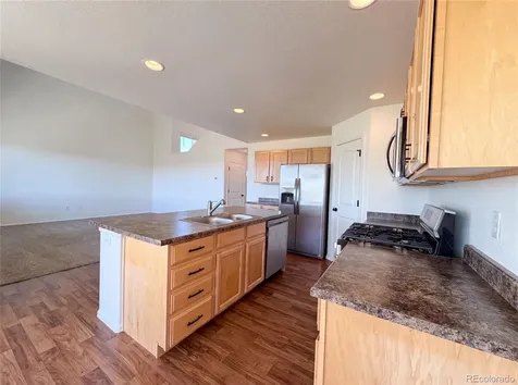 1726 Thrive Drive Windsor CO 80550