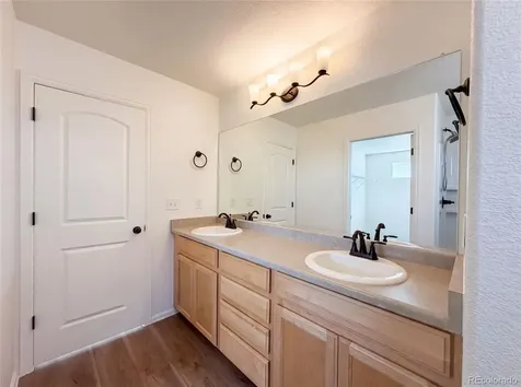 1726 Thrive Drive Windsor CO 80550