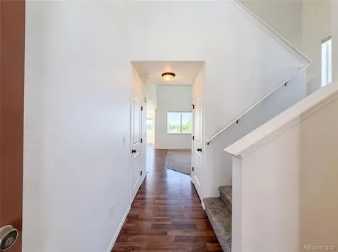 1726 Thrive Drive Windsor CO 80550