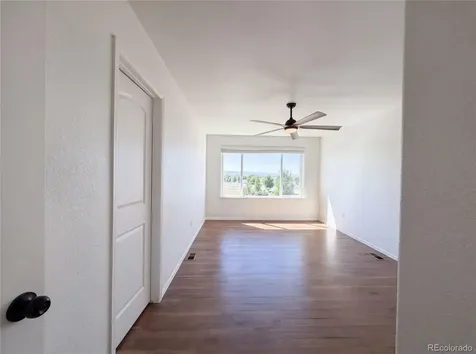 1726 Thrive Drive Windsor CO 80550