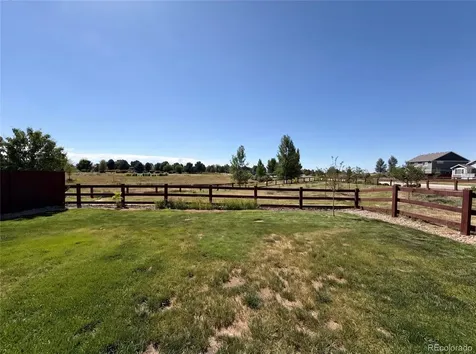1726 Thrive Drive Windsor CO 80550