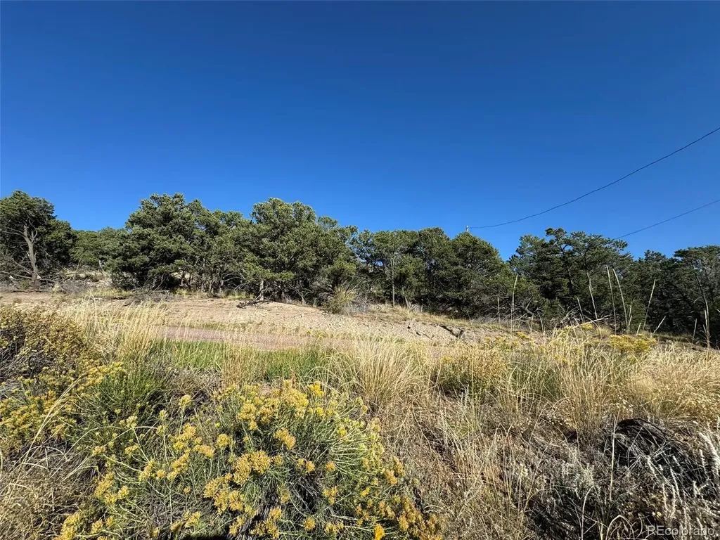 0 Copper Gulch Road Cotopaxi CO 81223