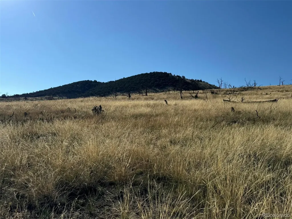 0 Copper Gulch Road Cotopaxi CO 81223
