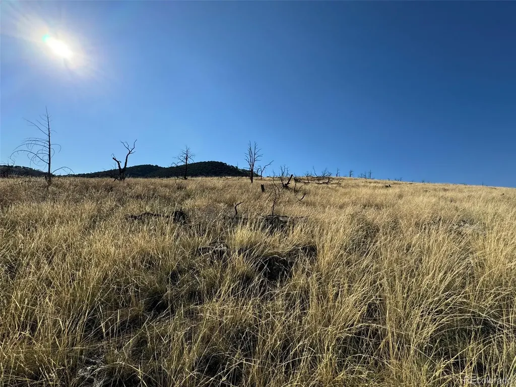 0 Copper Gulch Road Cotopaxi CO 81223