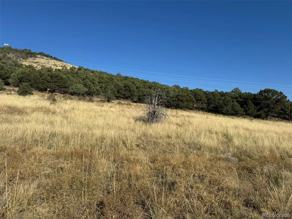 0 Copper Gulch Road Cotopaxi CO 81223