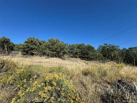 0 Copper Gulch Road Cotopaxi CO 81223