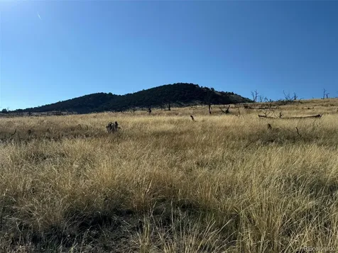 0 Copper Gulch Road Cotopaxi CO 81223