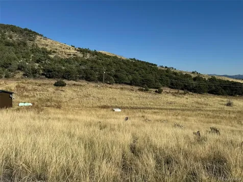 0 Copper Gulch Road Cotopaxi CO 81223