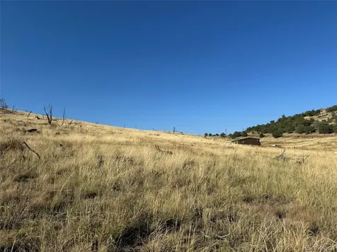 0 Copper Gulch Road Cotopaxi CO 81223