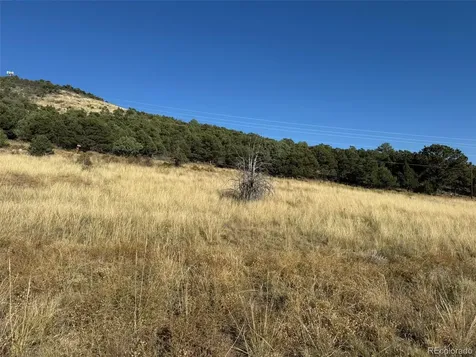0 Copper Gulch Road Cotopaxi CO 81223