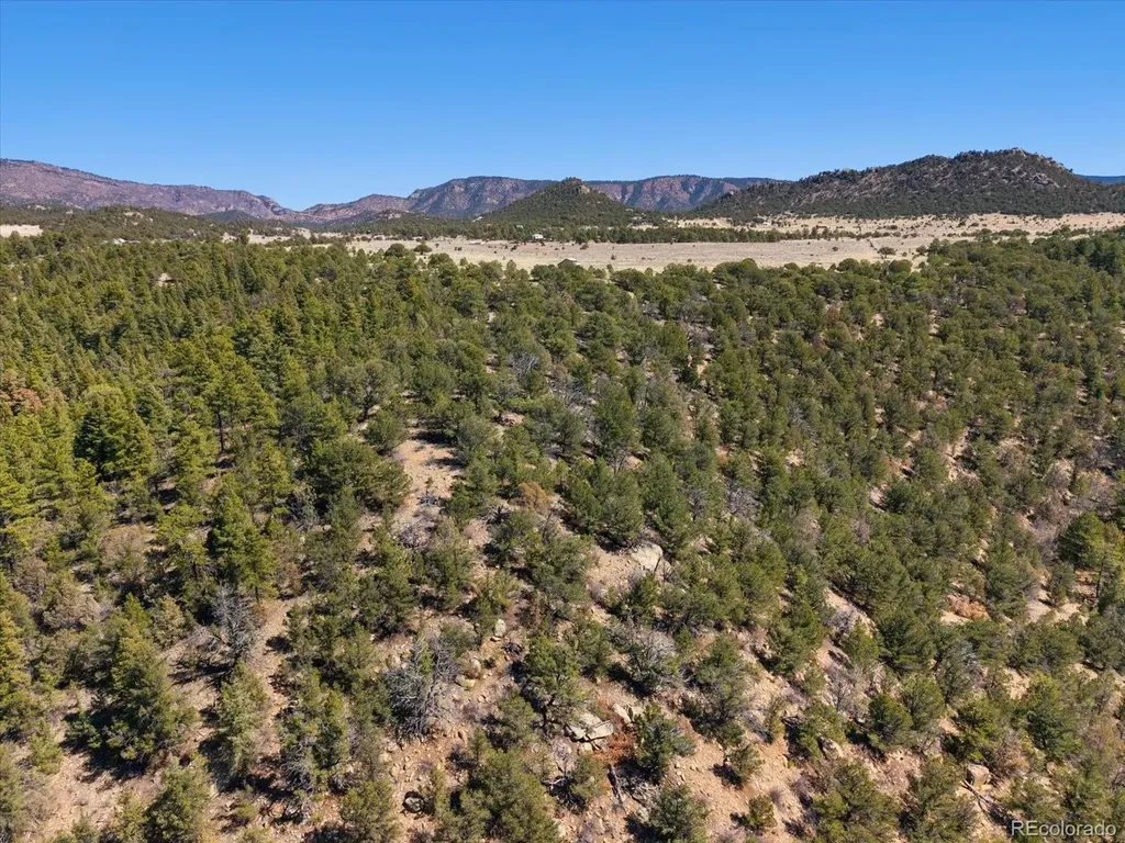 540 & 387 Chocktaw Drive Canon City CO 81212