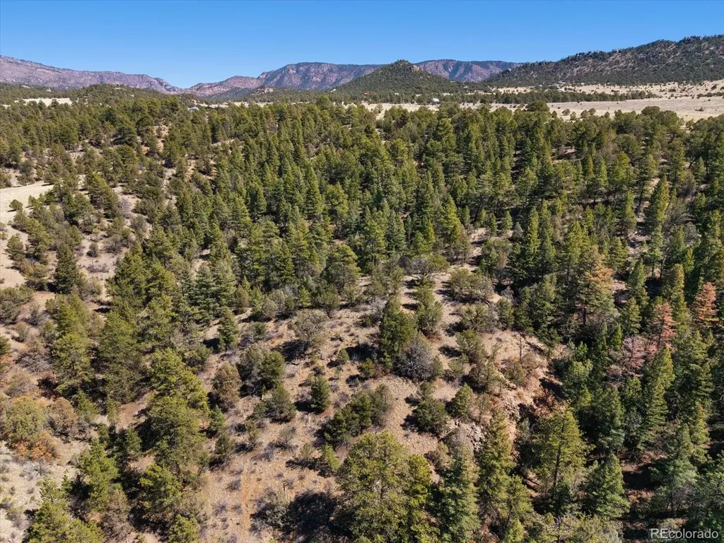 540 & 387 Chocktaw Drive Canon City CO 81212