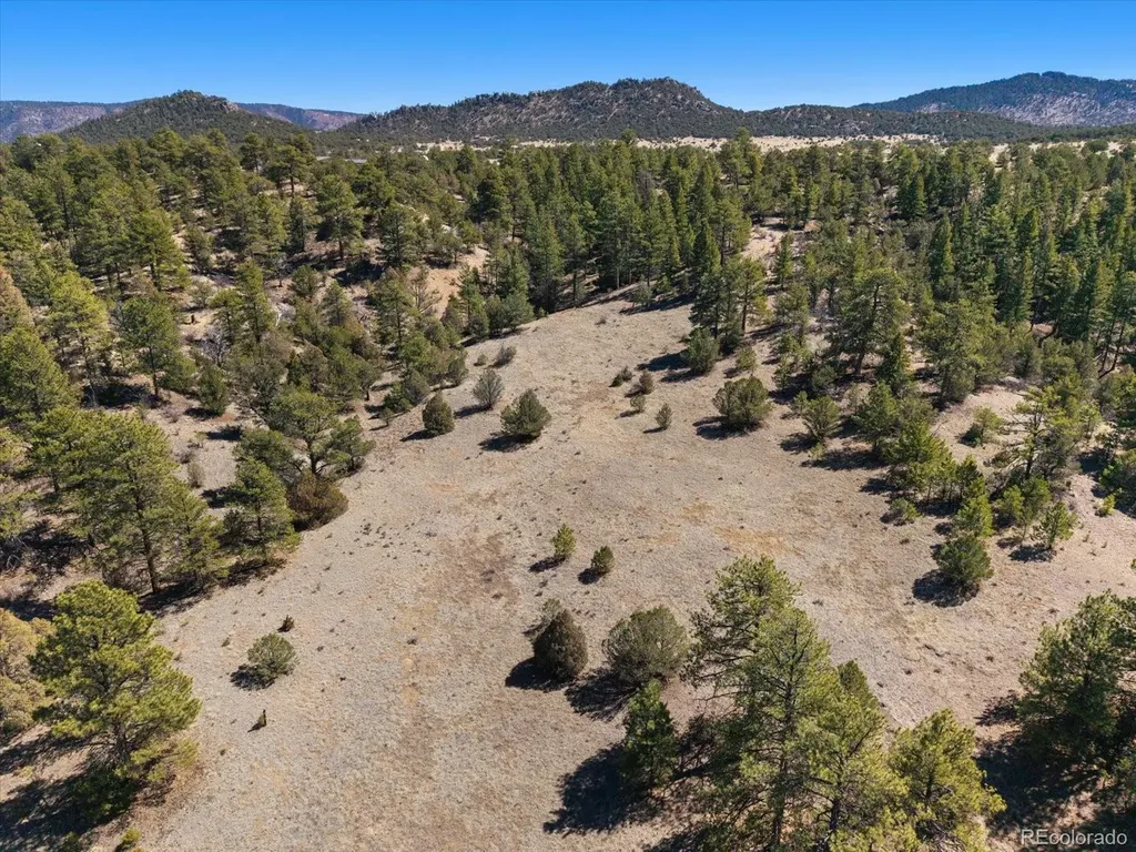 540 & 387 Chocktaw Drive Canon City CO 81212