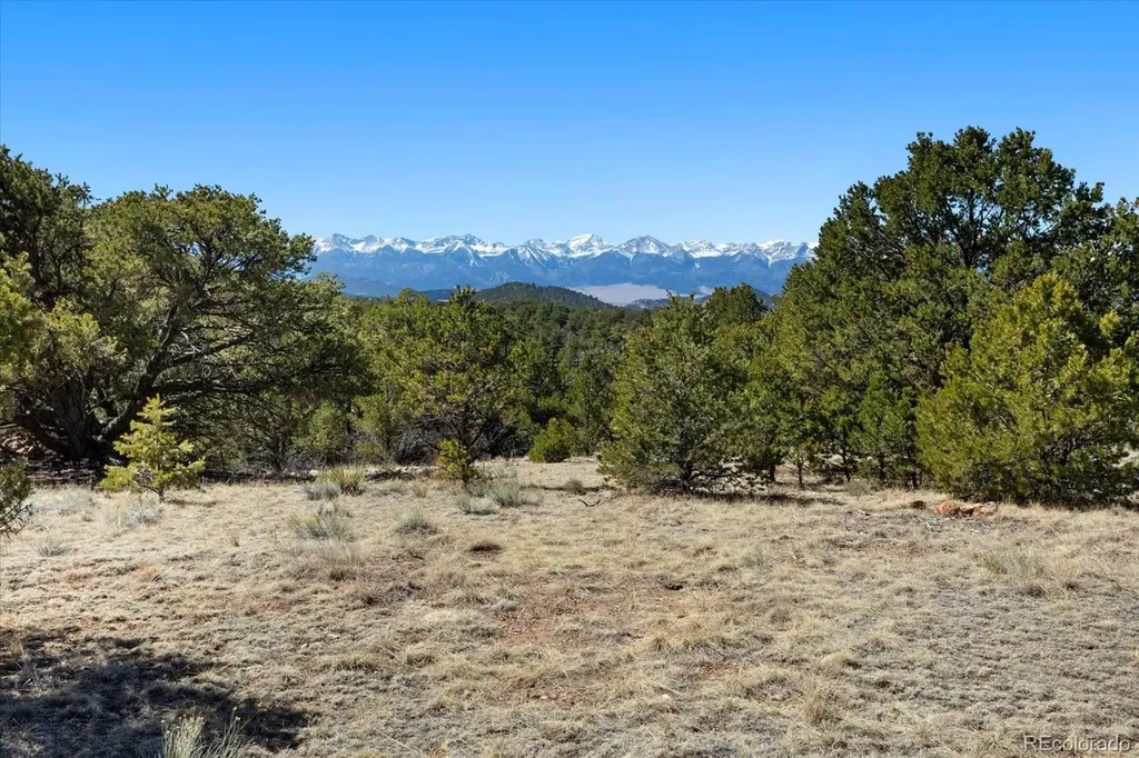 540 & 387 Chocktaw Drive Canon City CO 81212