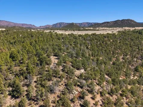 540 & 387 Chocktaw Drive Canon City CO 81212