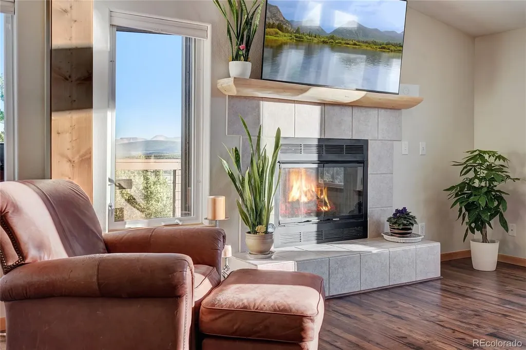 1243 Platte River Drive Alma CO 80440