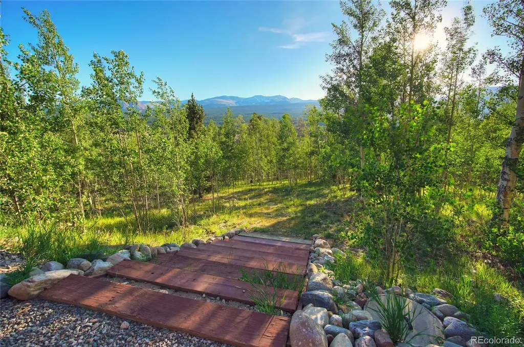 1243 Platte River Drive Alma CO 80440