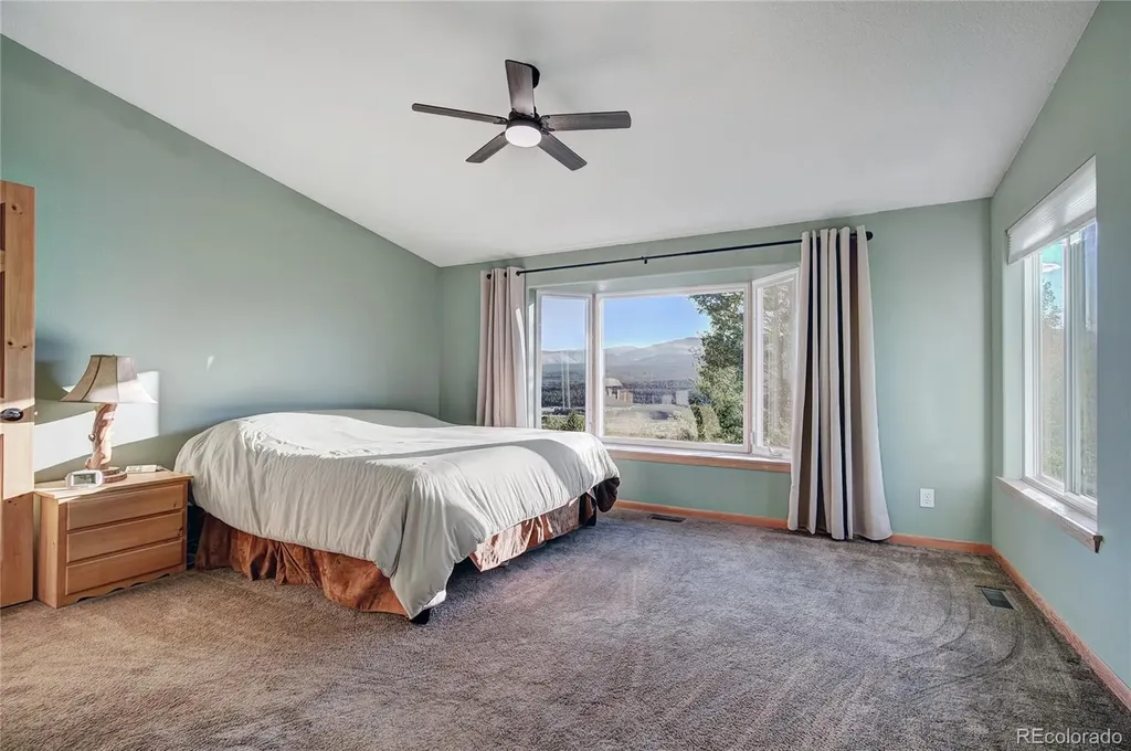 1243 Platte River Drive Alma CO 80440