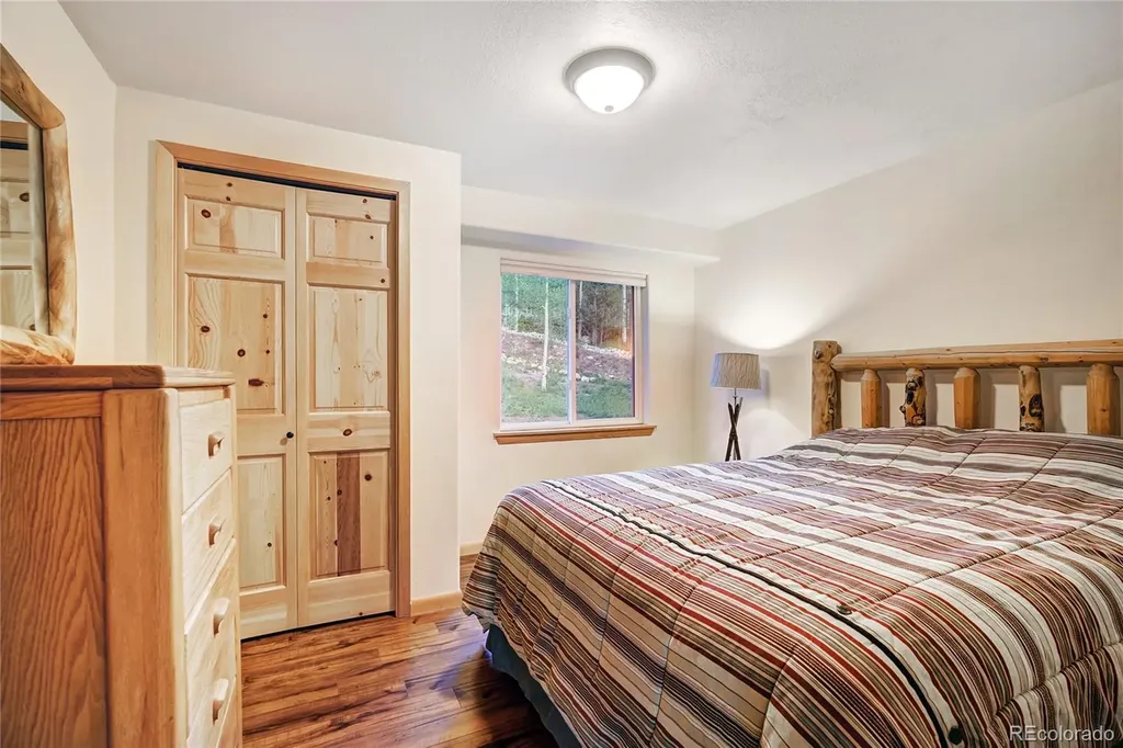1243 Platte River Drive Alma CO 80440