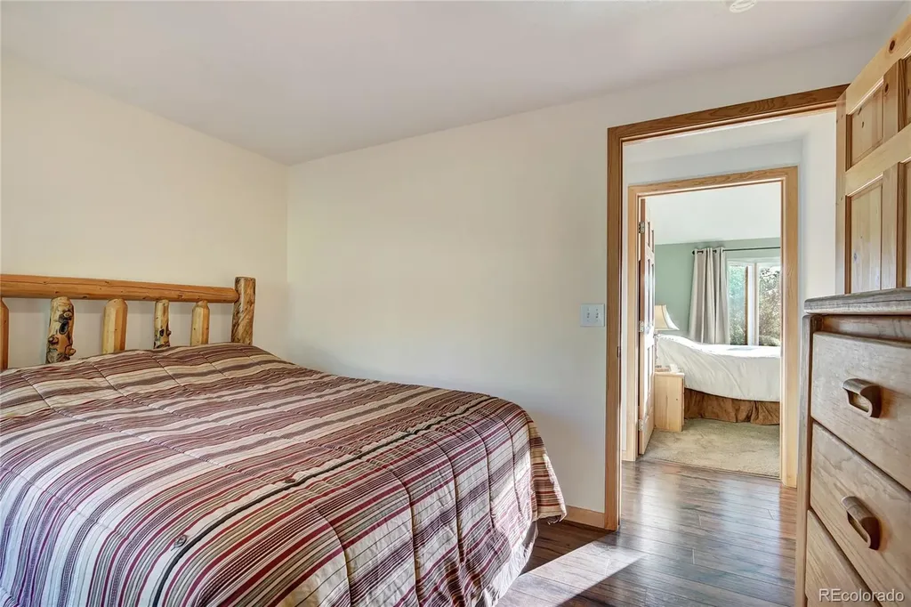 1243 Platte River Drive Alma CO 80440