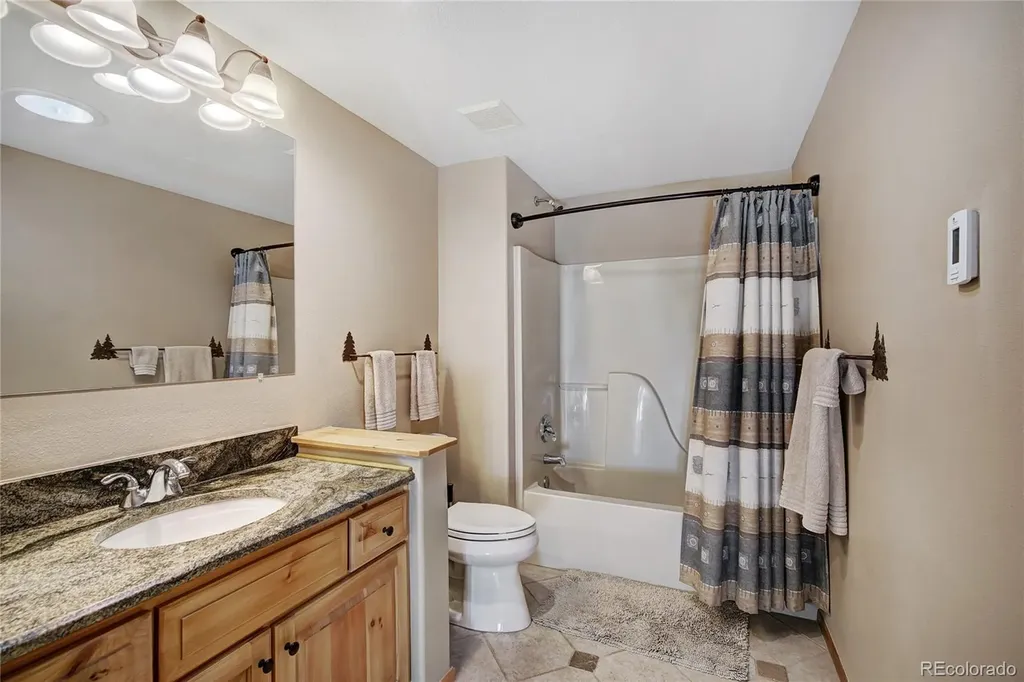 1243 Platte River Drive Alma CO 80440
