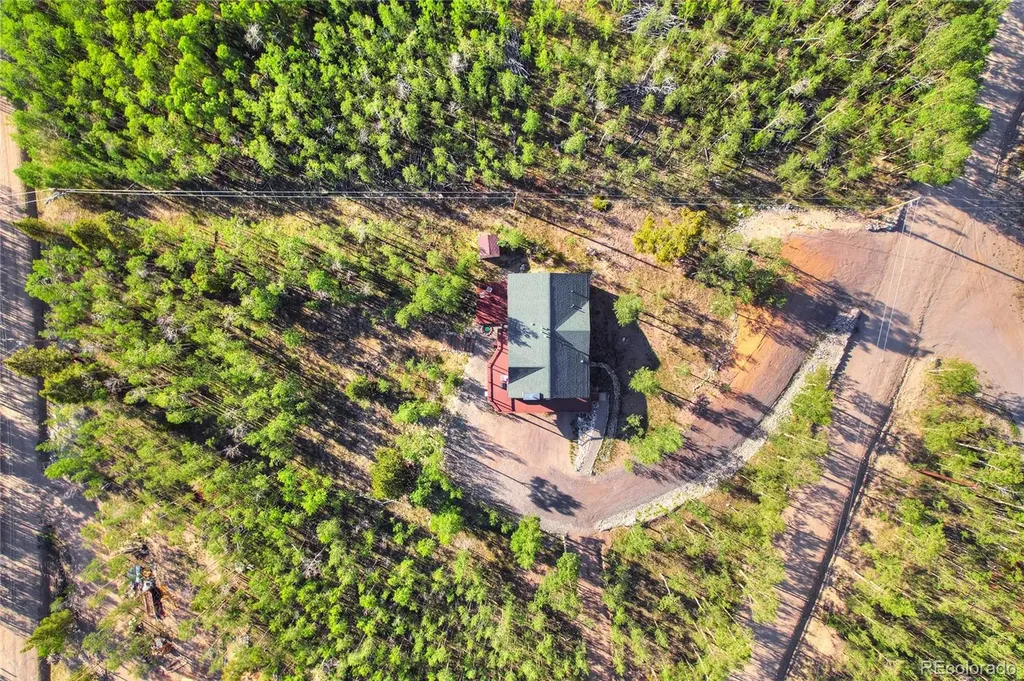 1243 Platte River Drive Alma CO 80440