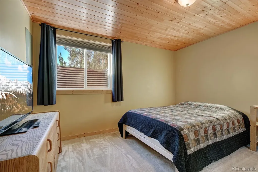 1243 Platte River Drive Alma CO 80440