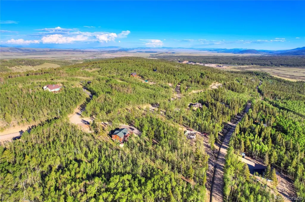 1243 Platte River Drive Alma CO 80440