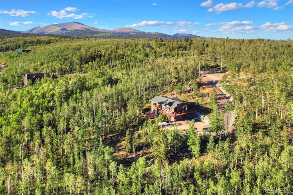 1243 Platte River Drive Alma CO 80440