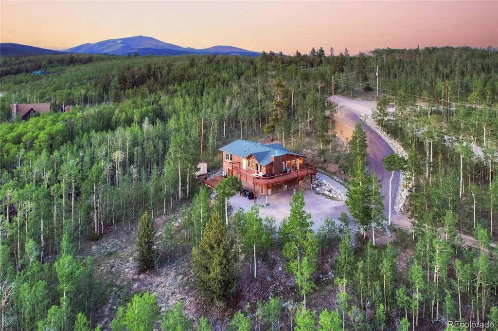 1243 Platte River Drive Alma CO 80440