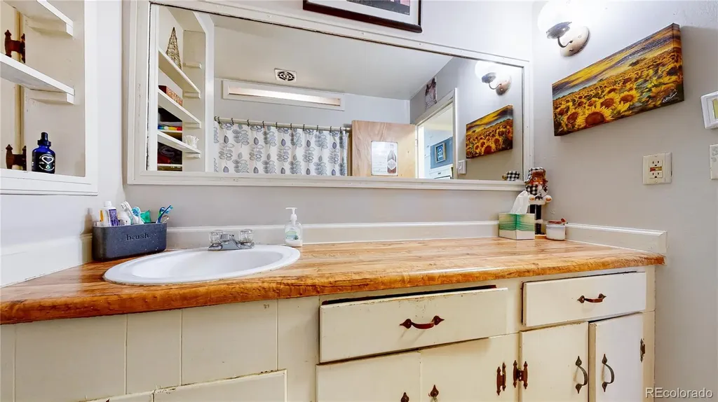 33988 Jenifer Road Pine CO 80470