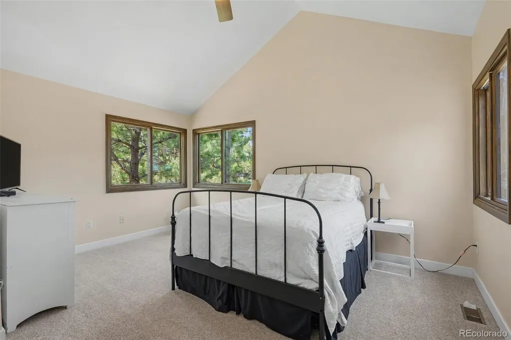 6227 Northwoods Glen Drive Parker CO 80134