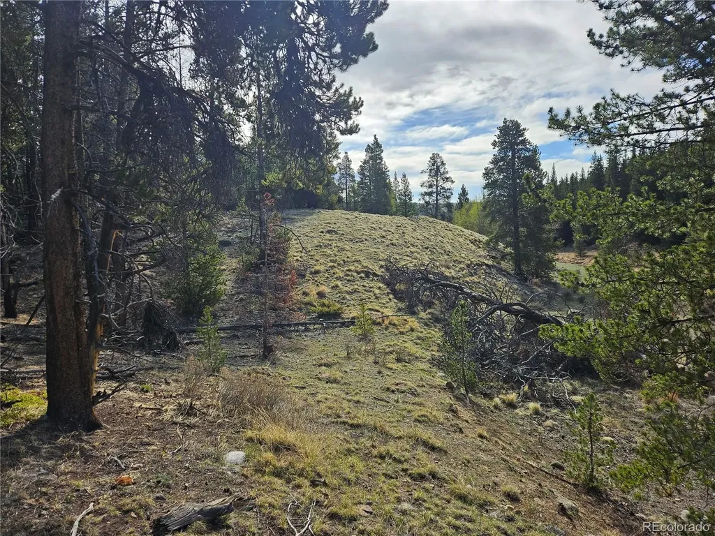 PCS#7765 & 12057 Rollies Trail Alma CO 80420