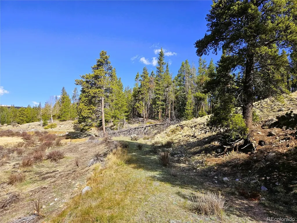 PCS#7765 & 12057 Rollies Trail Alma CO 80420