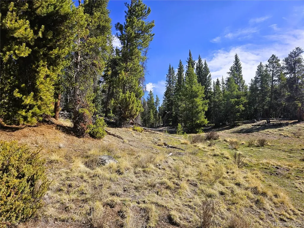 PCS#7765 & 12057 Rollies Trail Alma CO 80420