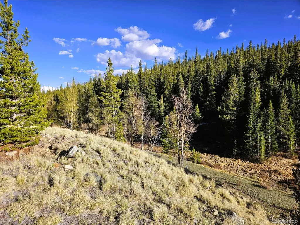 PCS#7765 & 12057 Rollies Trail Alma CO 80420
