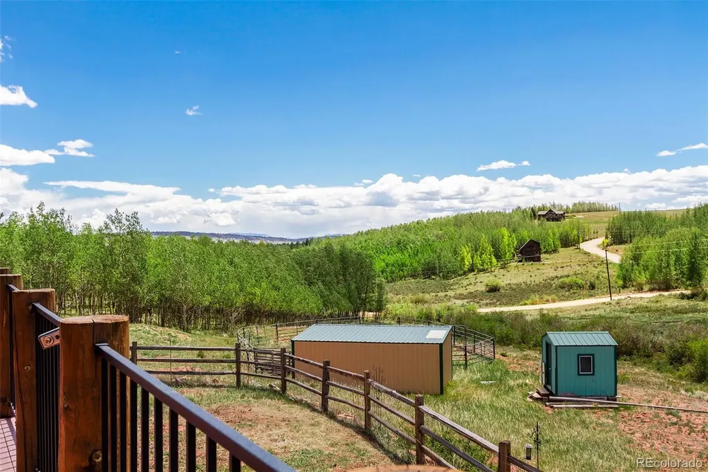 36 Iron Mountain Road Fairplay CO 80440
