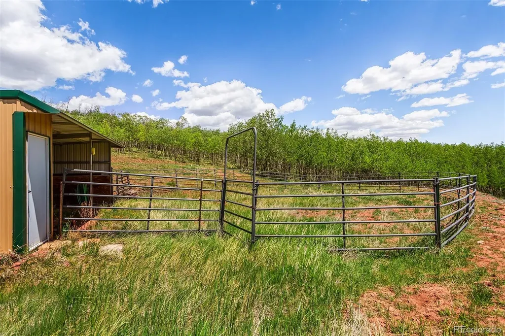 36 Iron Mountain Road Fairplay CO 80440