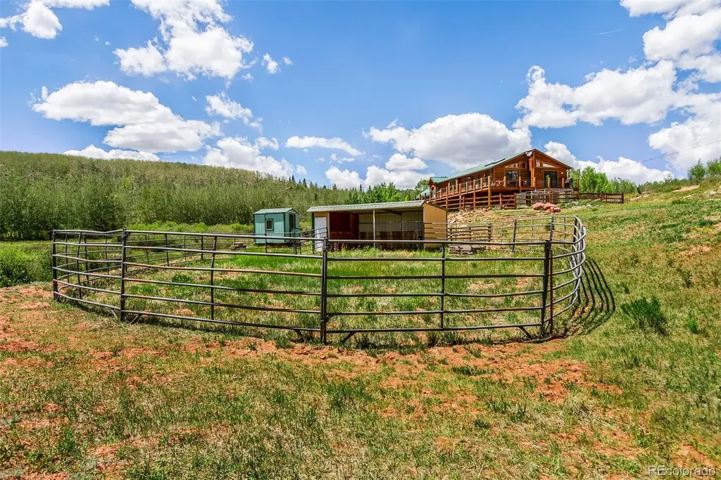 36 Iron Mountain Road Fairplay CO 80440