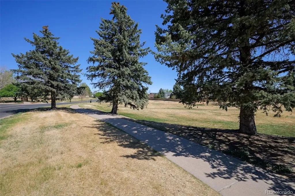 17045 Hastings Avenue Parker CO 80134