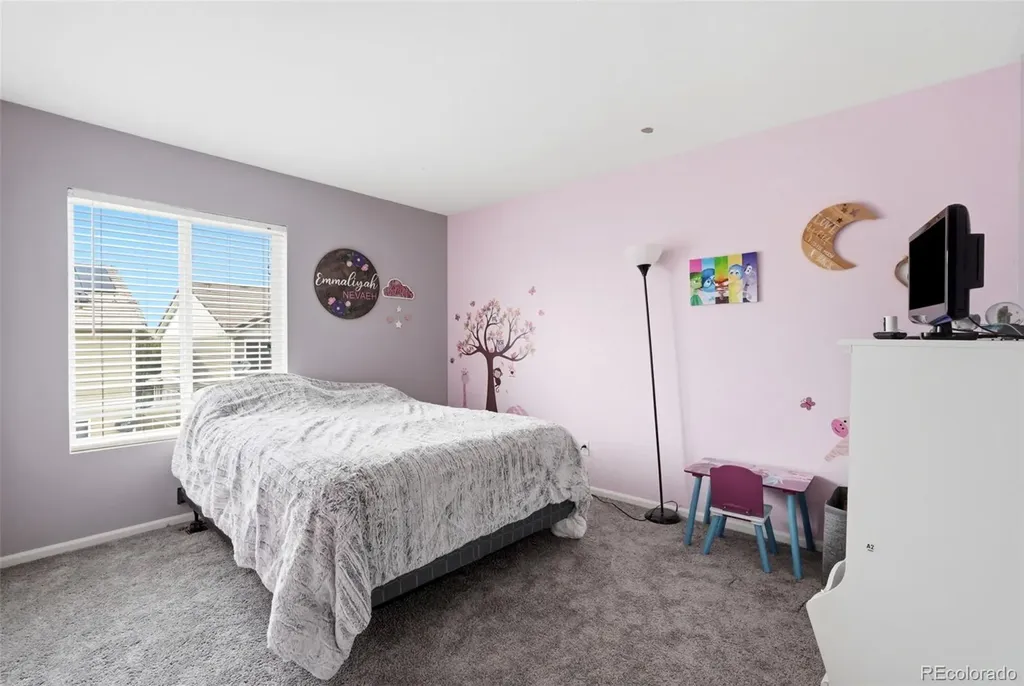 21611 E 54th Place Denver CO 80249