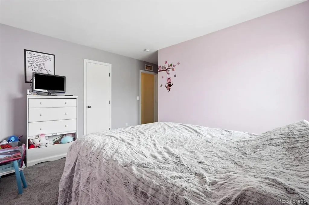 21611 E 54th Place Denver CO 80249