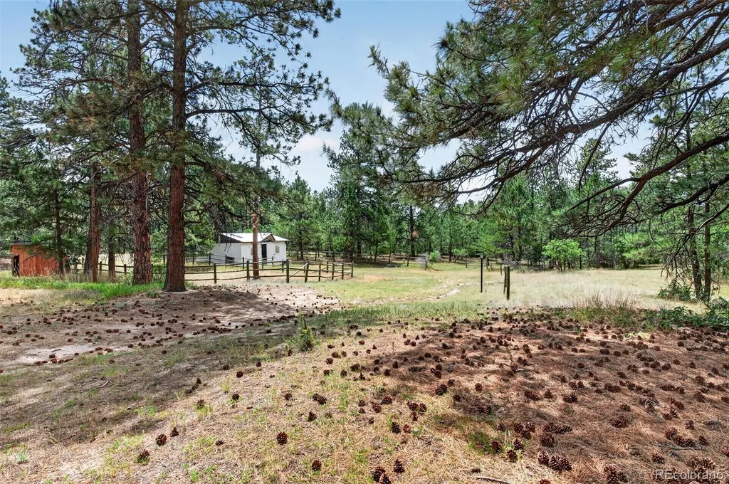 11934 E Buckhorn Way Franktown CO 80116