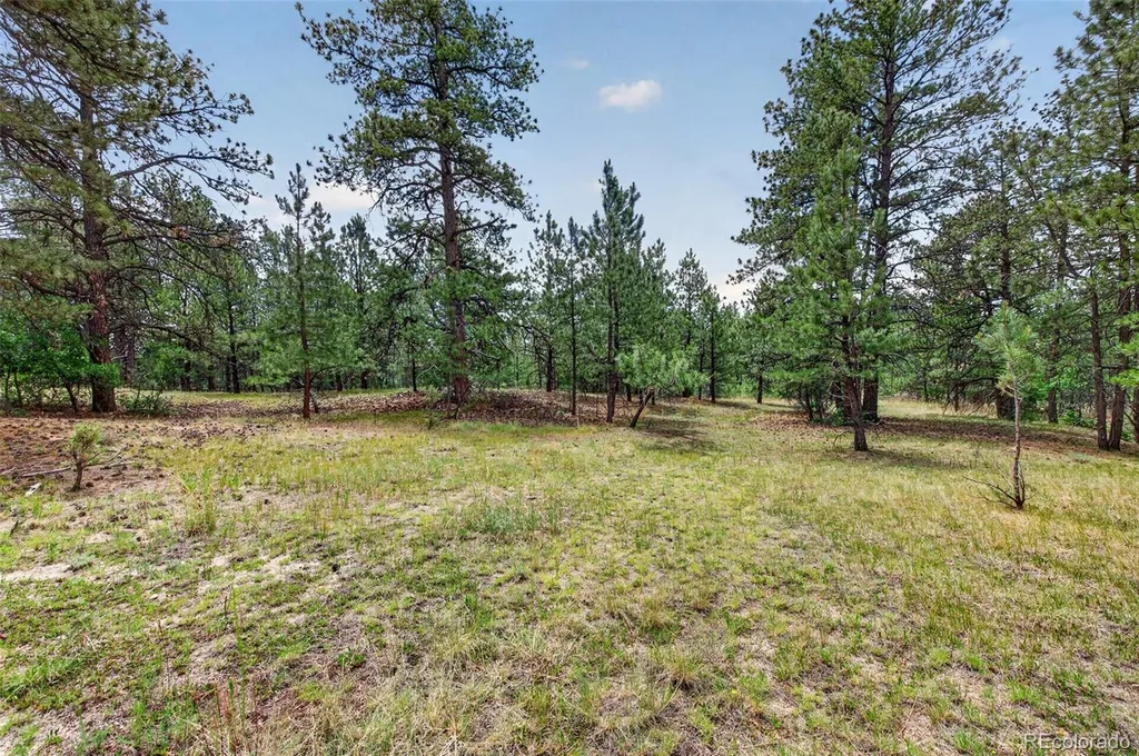 11934 E Buckhorn Way Franktown CO 80116