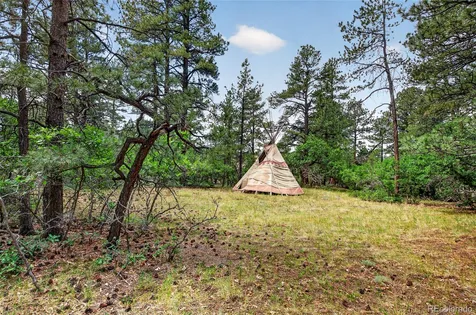 11934 E Buckhorn Way Franktown CO 80116